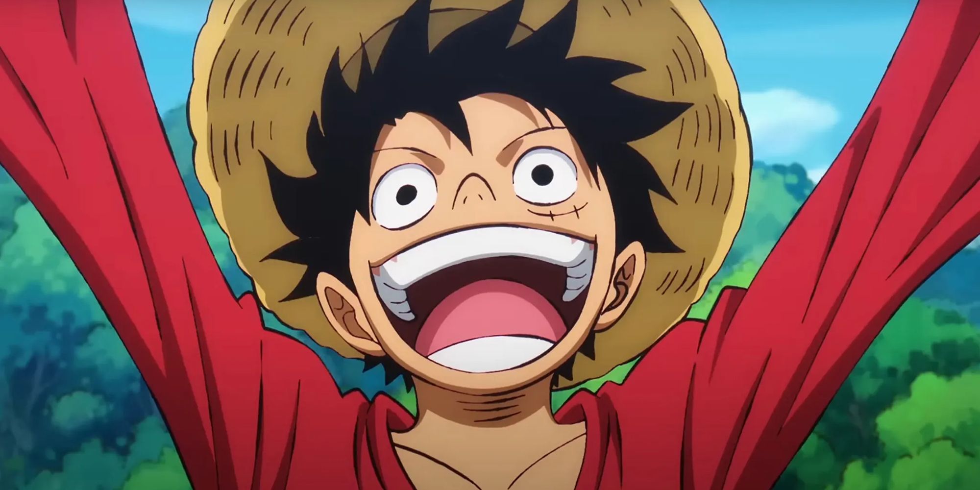 20 Highest Bounties in 'One Piece,' Ranked
