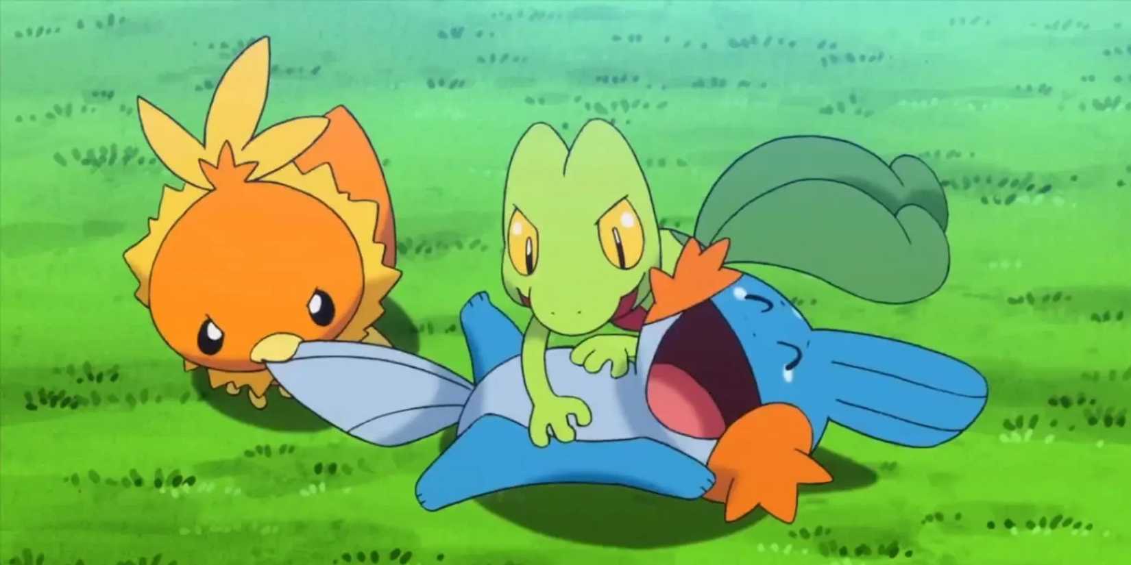 Treecko, Torchic, and Mudkip play together