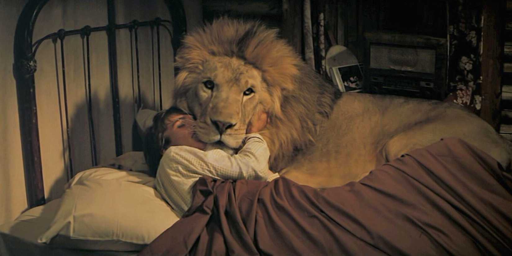 Seorang pria dan seekor singa berbaring di tempat tidur bersama dalam film terkenal tahun 1981, Roar