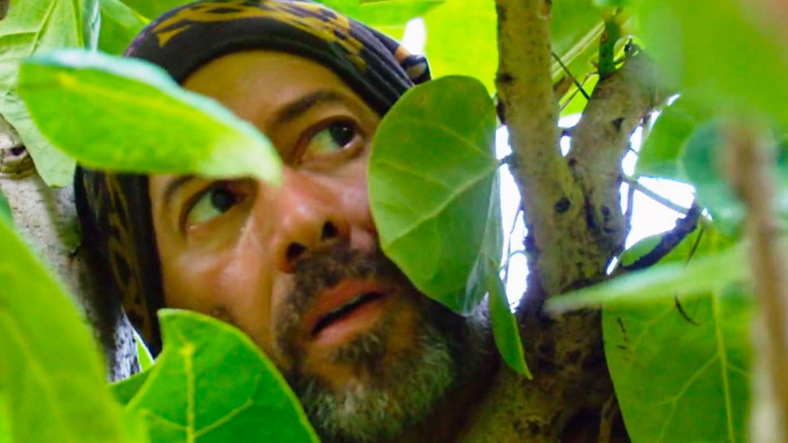 ისტორიული ეტაპი: Survivor 50-ე სეზონს აღნიშნავს