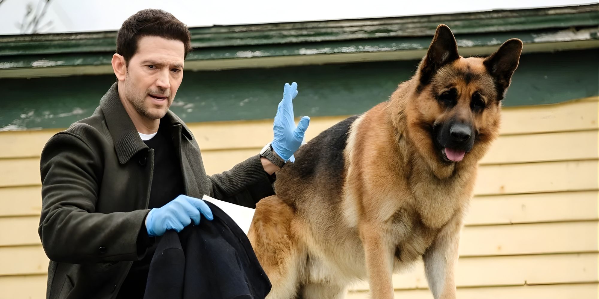 This 8-Part Police Procedural Is a Near-Perfect Crime Hit, but There's ...