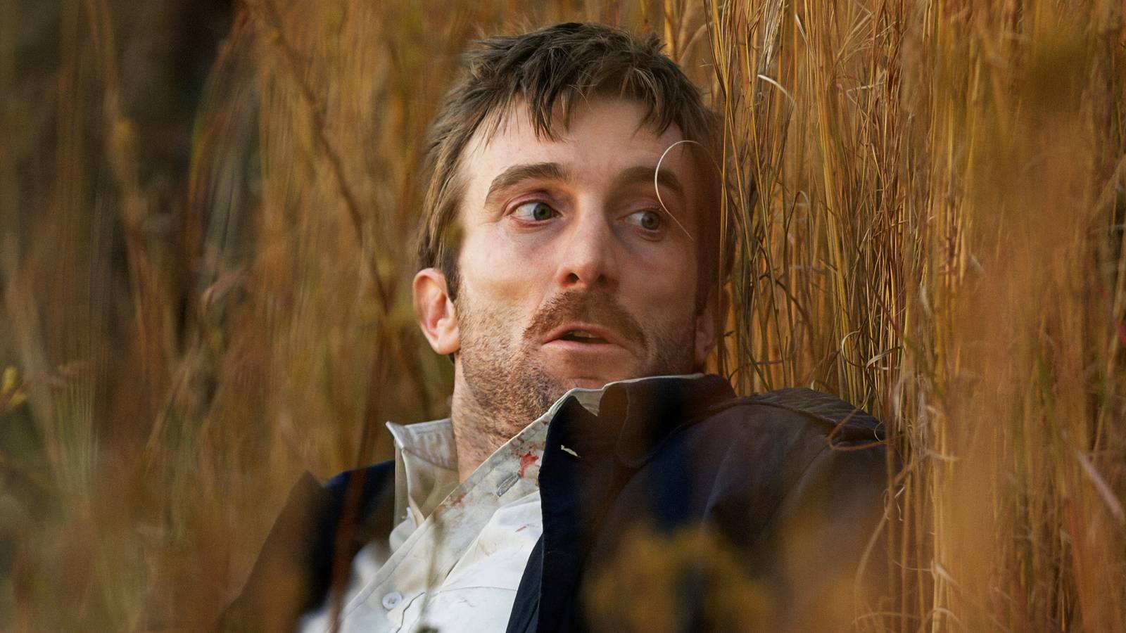 15 Best International Sci-Fi Movies, Ranked