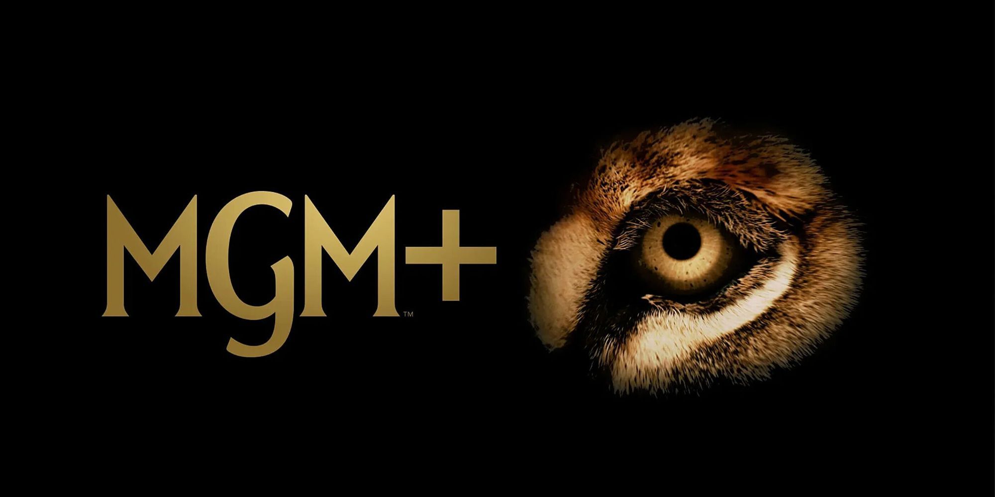 MGM+’s New Critically Acclaimed Series Is Officially Building a Cult Following