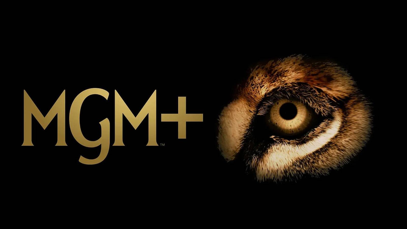 MGM+’s New Critically Acclaimed Series Is Officially Building a Cult ...