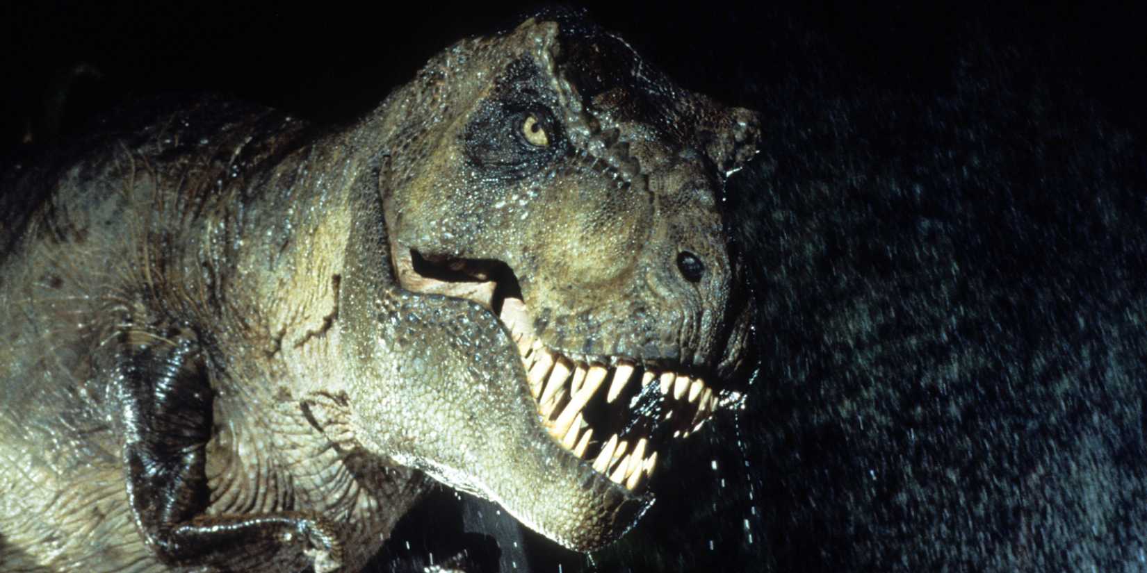 Jurassic Park - 1993 (4)
