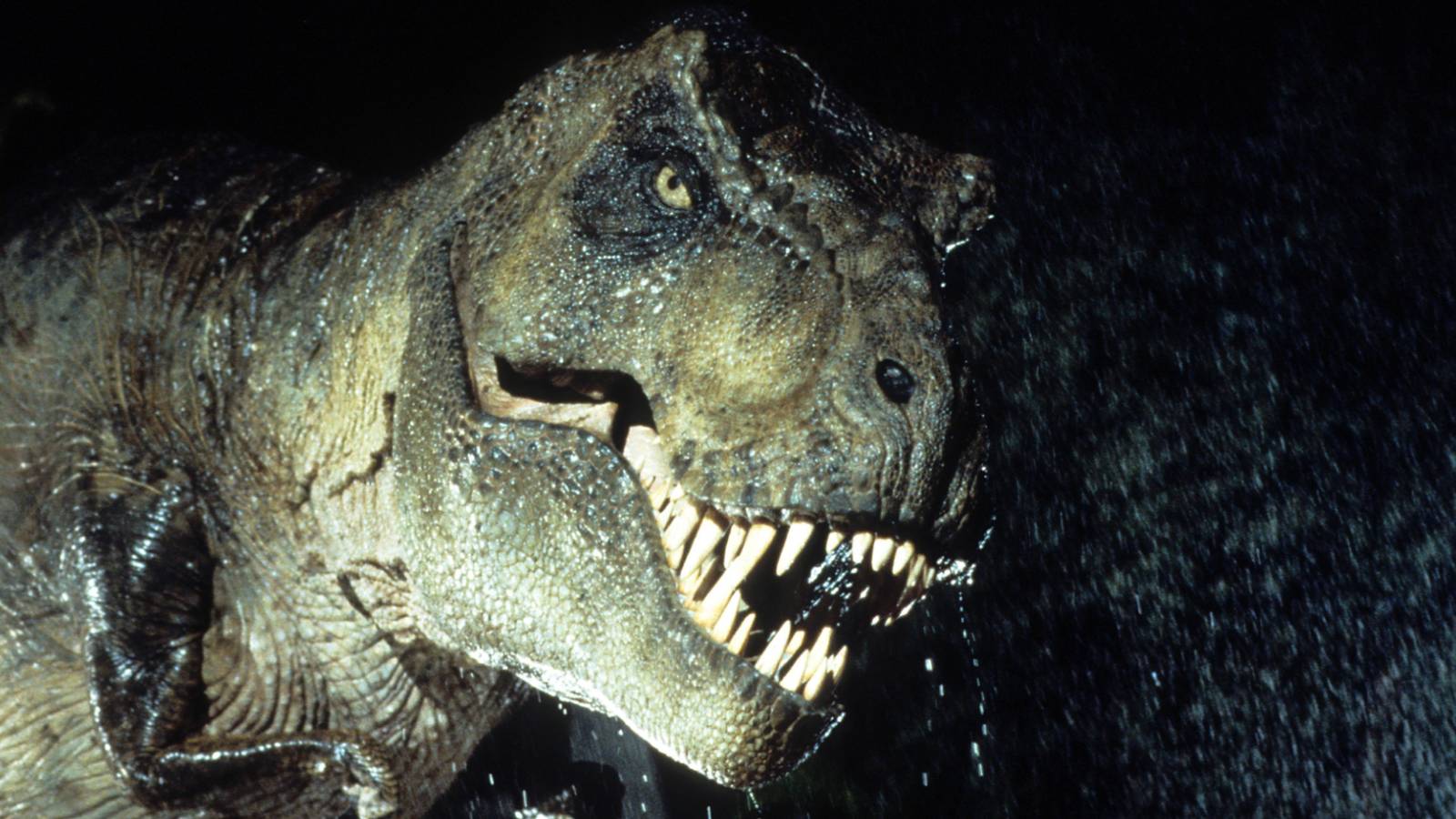 10 Most Perfectly Directed Blockbuster Movies, Ranked 10 Most Perfectly Directed Blockbuster Movies, Ranked