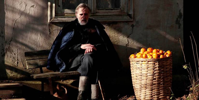 Lembit Ulfsak in 'Tangerines' (2013)