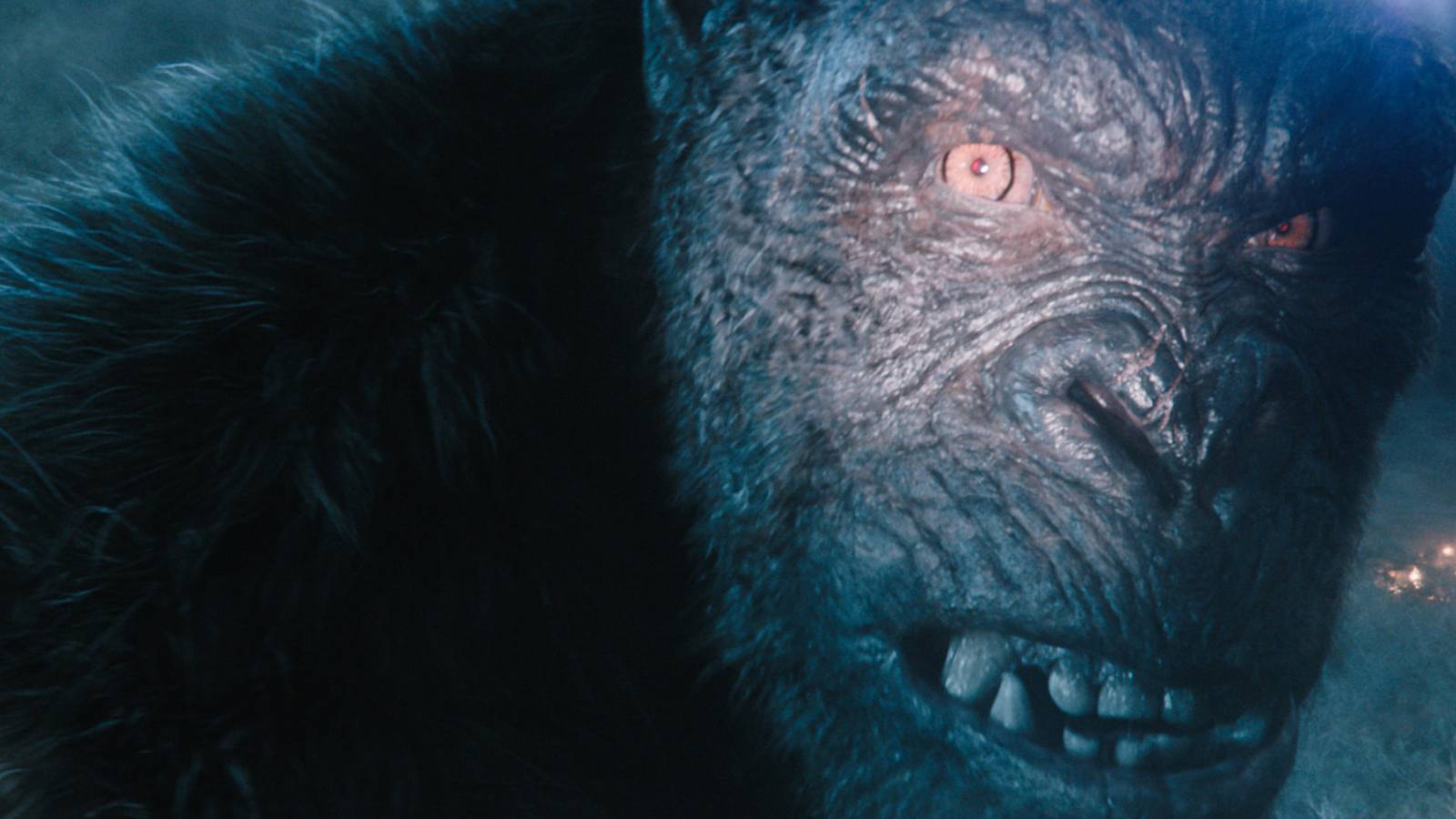 King Kong in Monarch