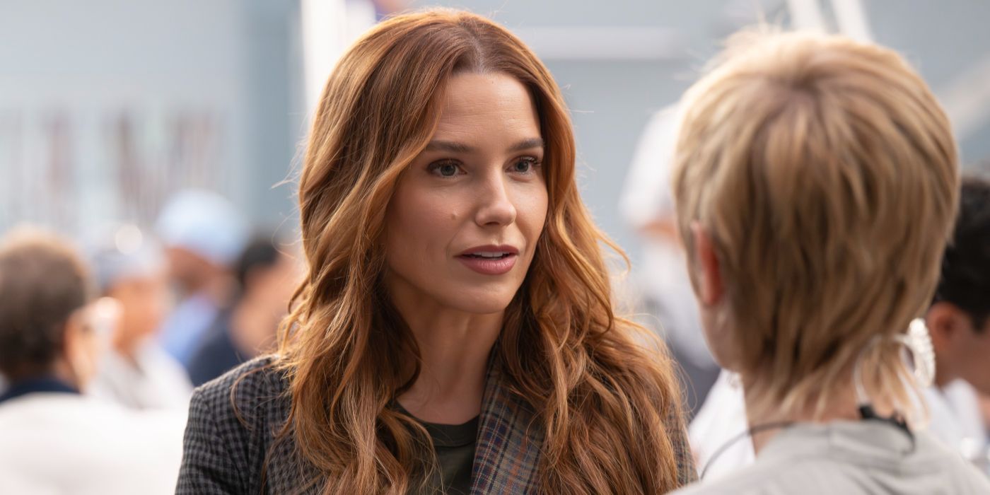 Sophia Bush in Grey's Anatomy