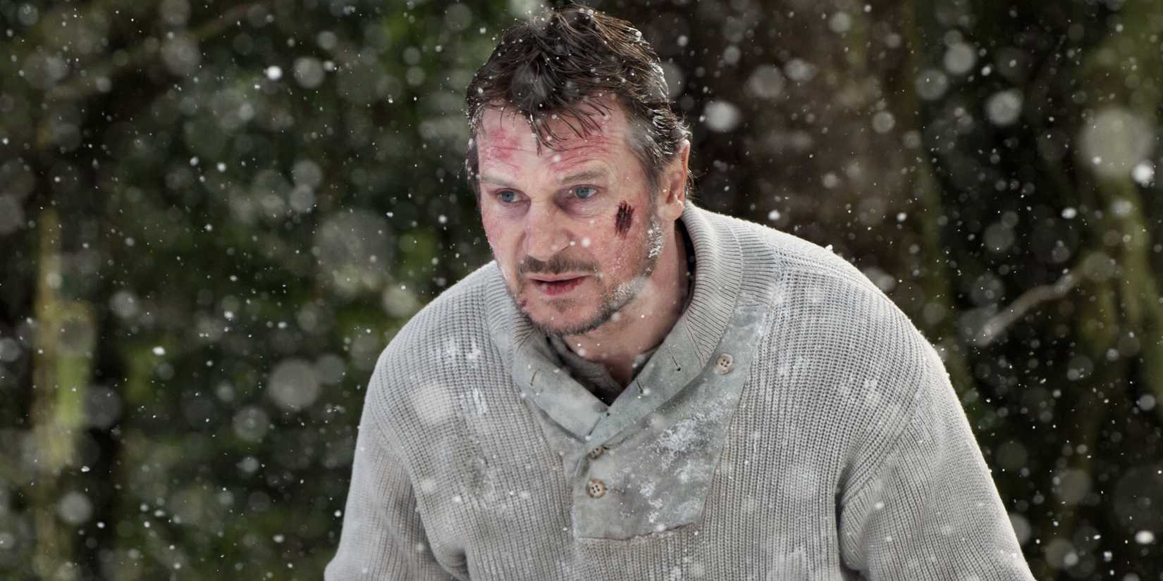 the-grey-liam-neeson