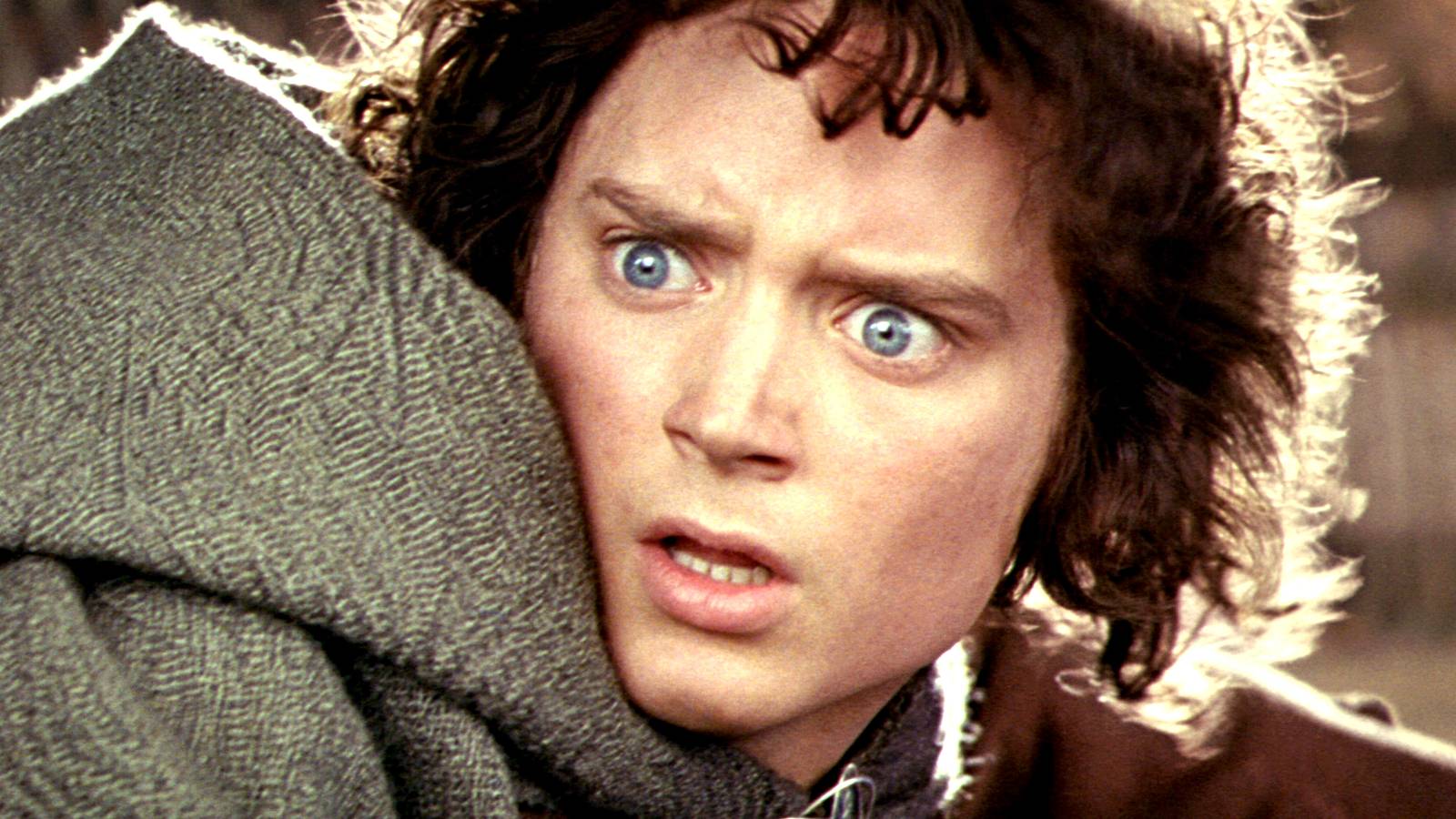 Elijah Wood as Frodo in The Lord of the Rings