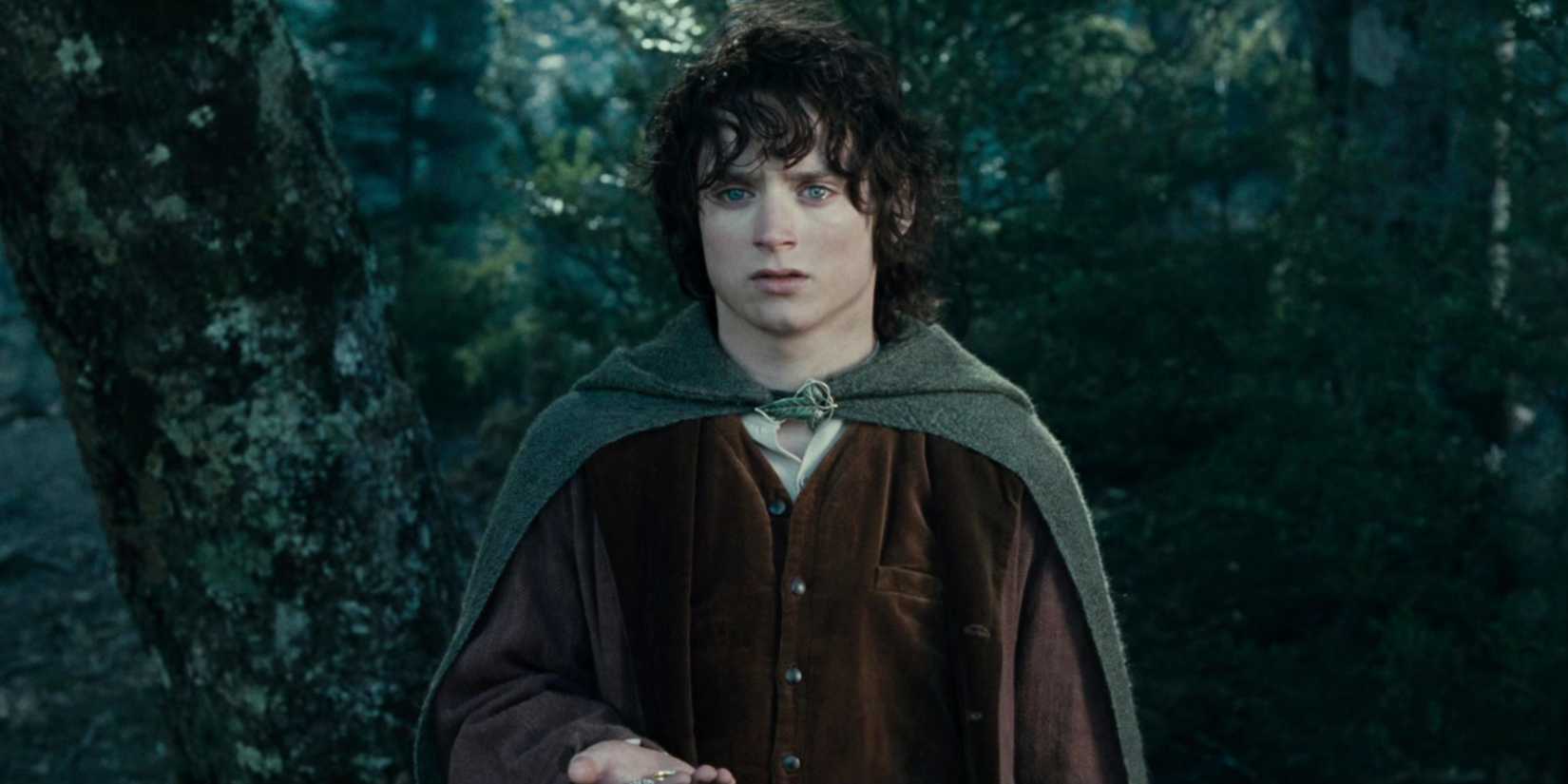 The Lord of the Rings_ The Fellowship of the Ring - 2001 (6)
