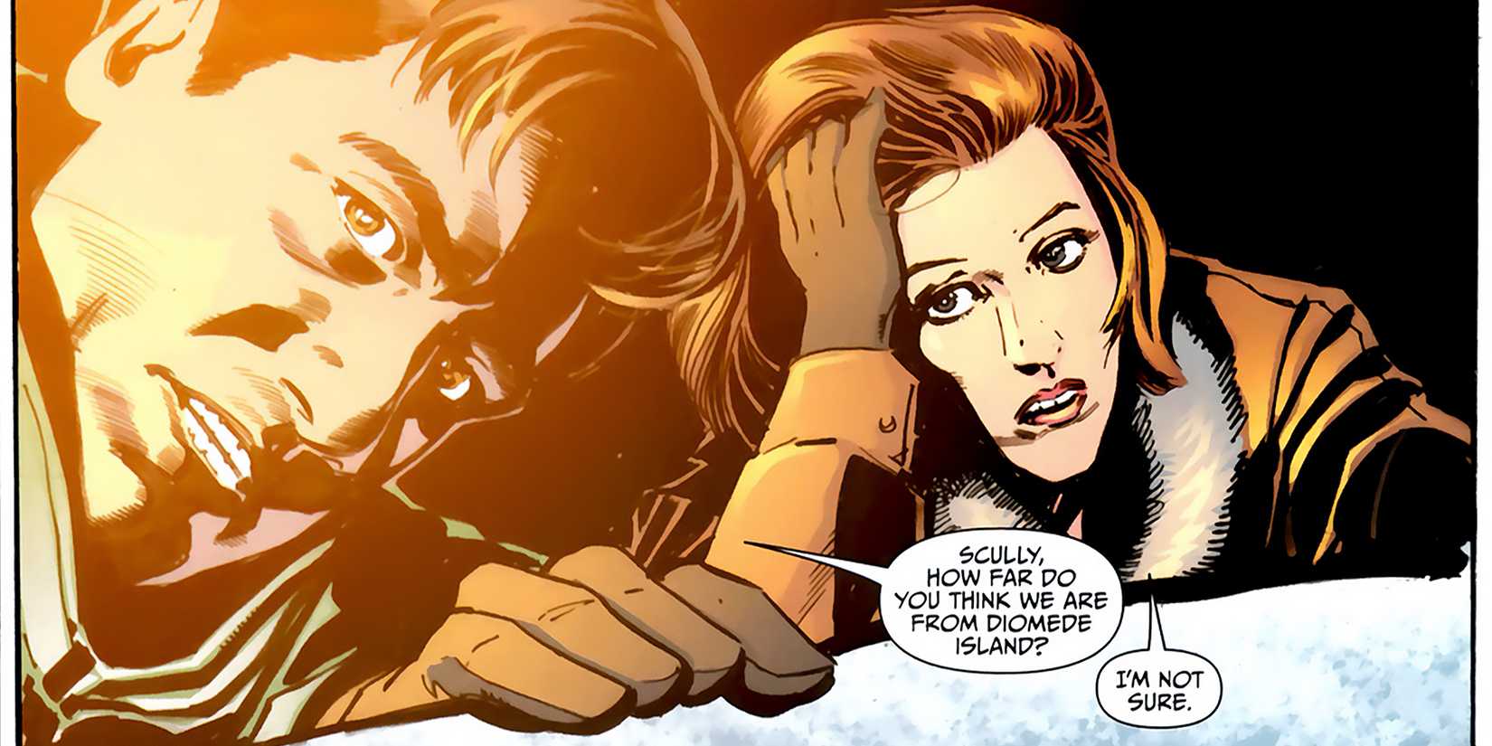 Scully and Mulder identifying their location in The X-Files/30 Days of Night crossover comic