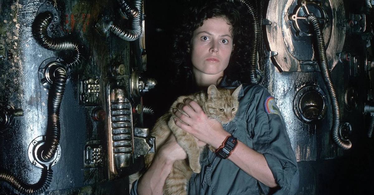 collider.com - Samuel R. Murrian  - Only 3 Sci-Fi Horror Movies Are Better Than 'Alien