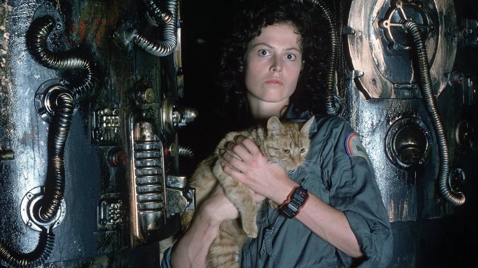 The 10 Greatest Alien Movies of All Time, Ranked