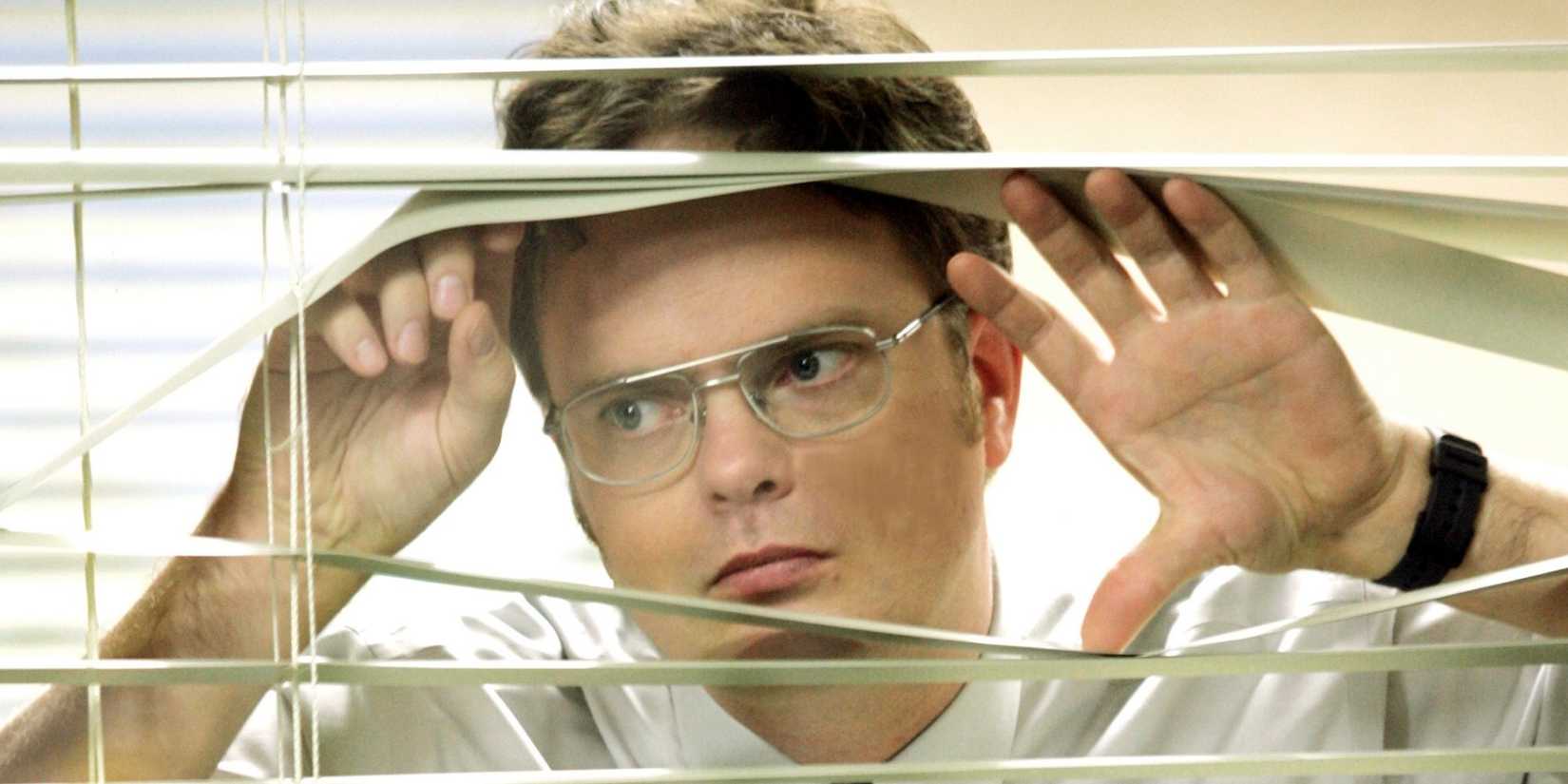 THE OFFICE, Rainn Wilson, (Season 1), 2005-, © NBC / Courtesy: Everett Collection