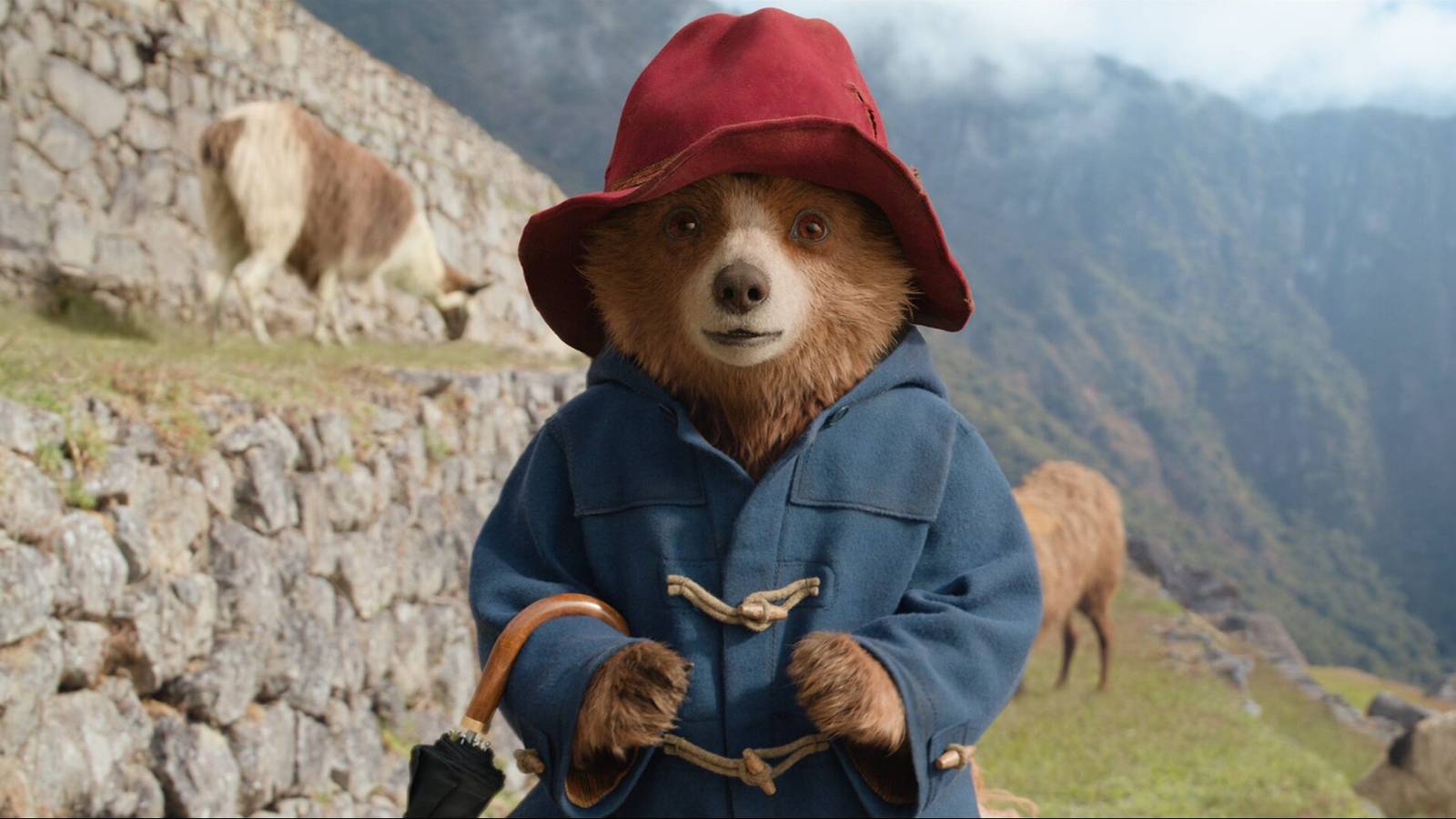 'Paddington' Is Officially Coming Back for Another Wholesome Adventure