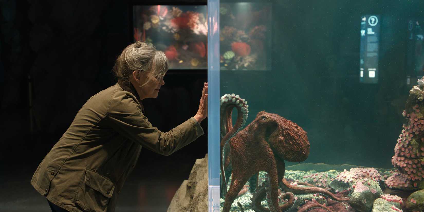 Sally Field putting her hand on Marcellus the octopus's glass in Remarkably Bright Creatures