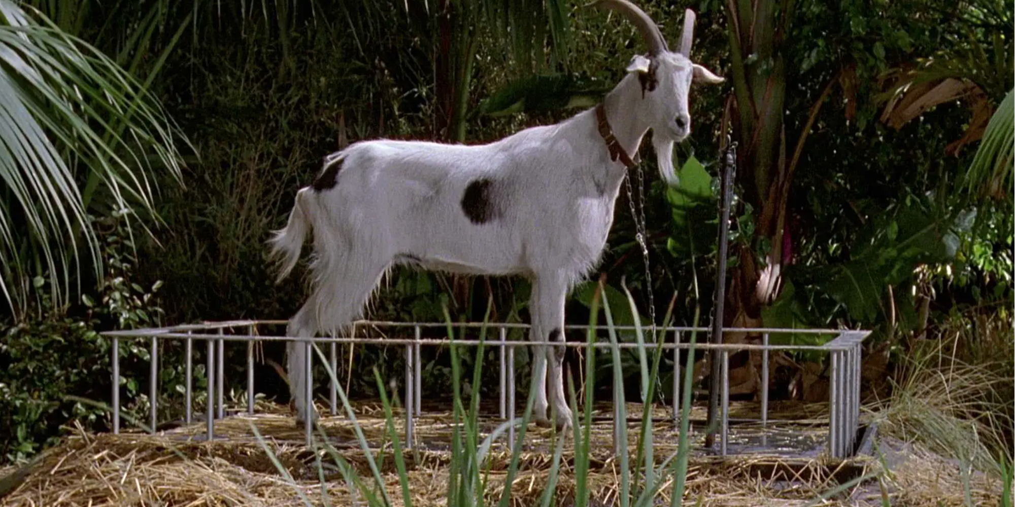 33 Years Later, This 'Jurassic Park' Scene Still Does Sci-Fi Thriller Filmmaking Better Than Most