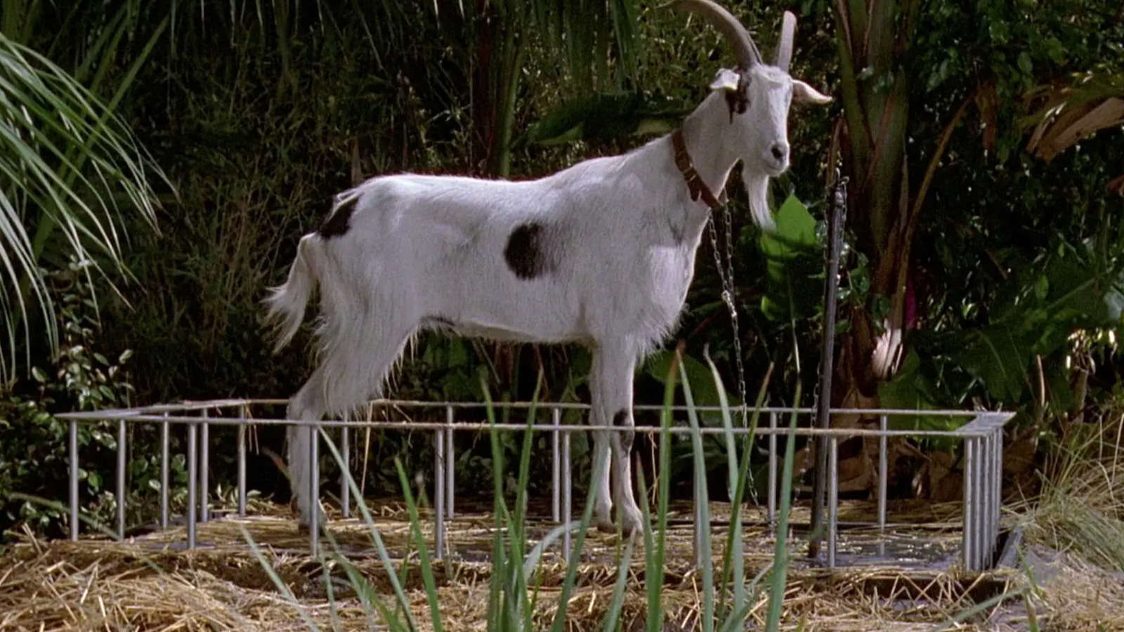 33 Years Later, This ‘Jurassic Park’ Scene Still Does Sci-Fi Thriller Filmmaking Better Than Most 33 Years Later, This ‘Jurassic Park’ Scene Still Does Sci-Fi Thriller Filmmaking Better Than Most