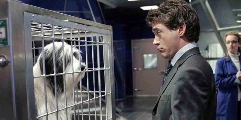 Robert Downey Jr. in The Shaggy Dog 2006