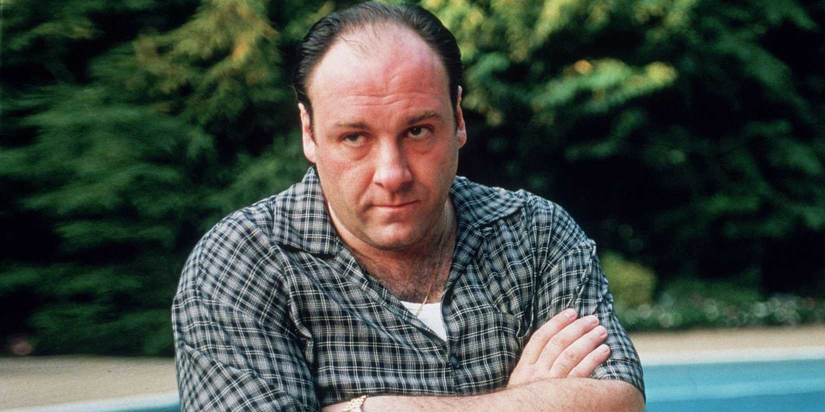 Tony in The Sopranos - 1999 