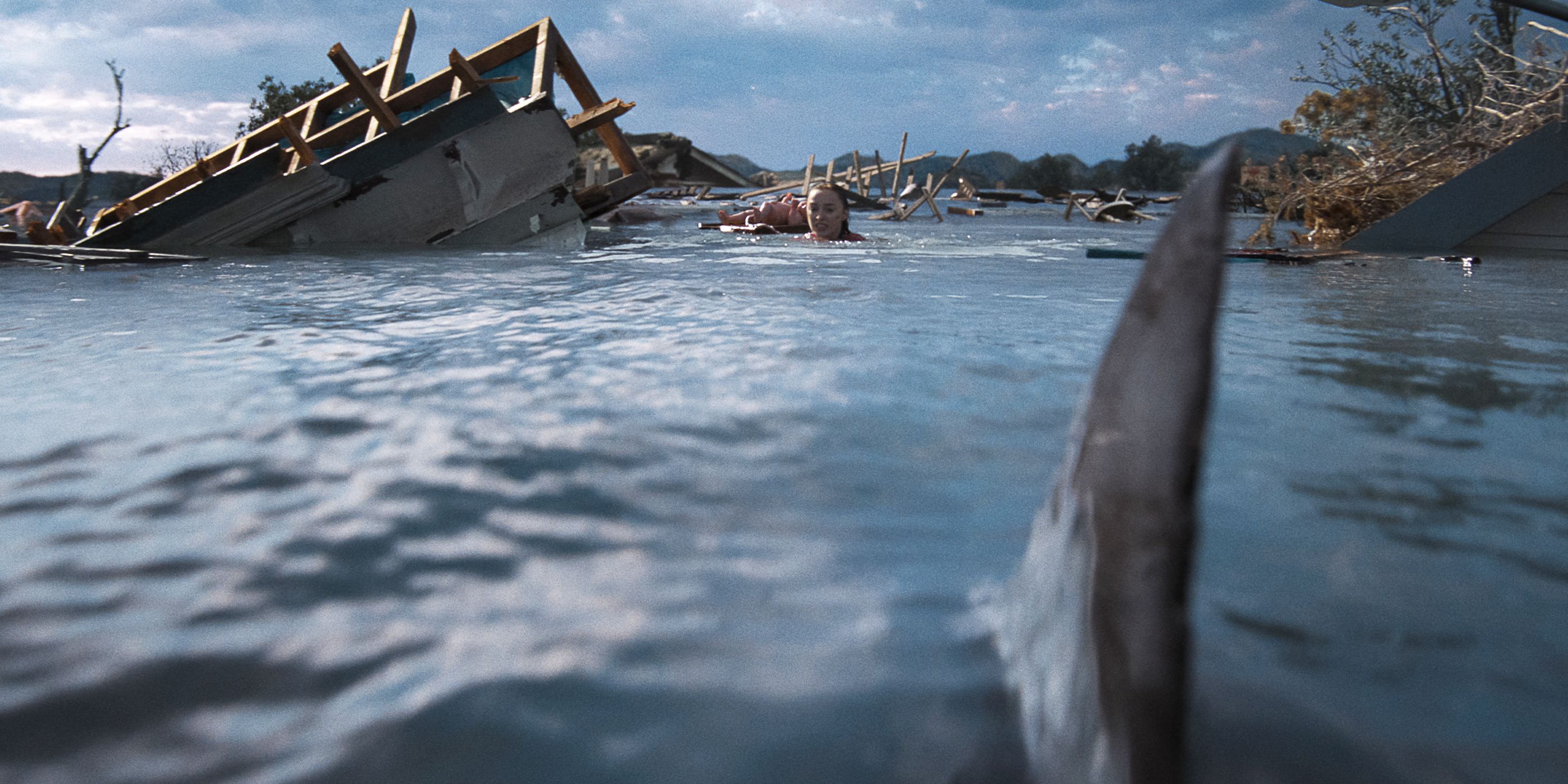 A shark swims towards Lisa.