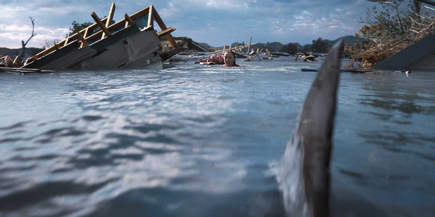 A shark swims towards Lisa.
