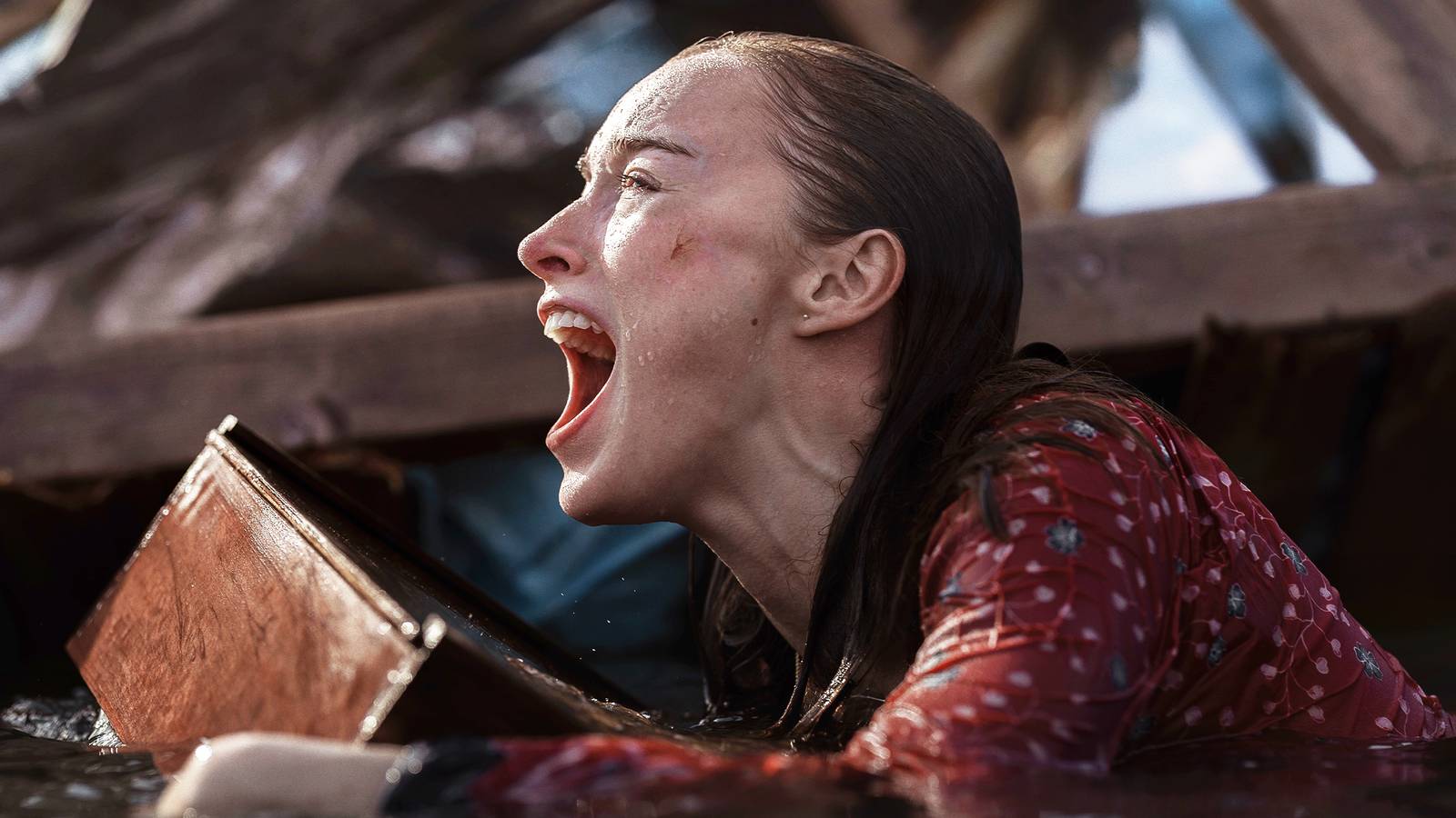 Lisa Fields screams while holding onto debris in flood water.
