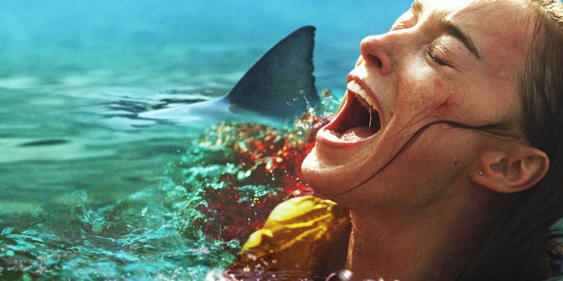 Netflix's New Shark Thriller Is Officially Taking Over the World