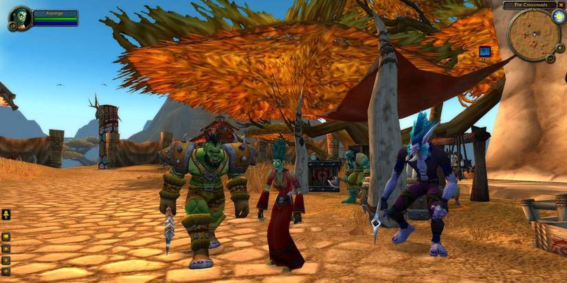 Gameplay of an orc in World of Warcraft