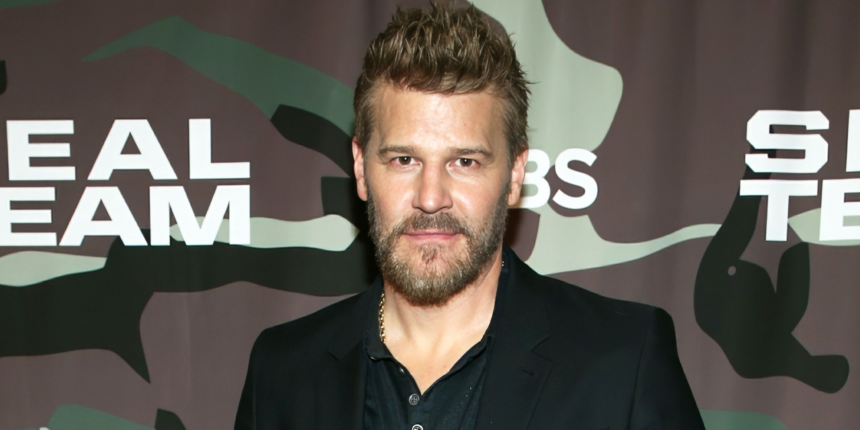 Actor David Boreanaz.