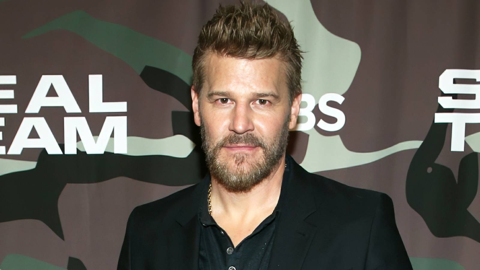 Actor David Boreanaz.
