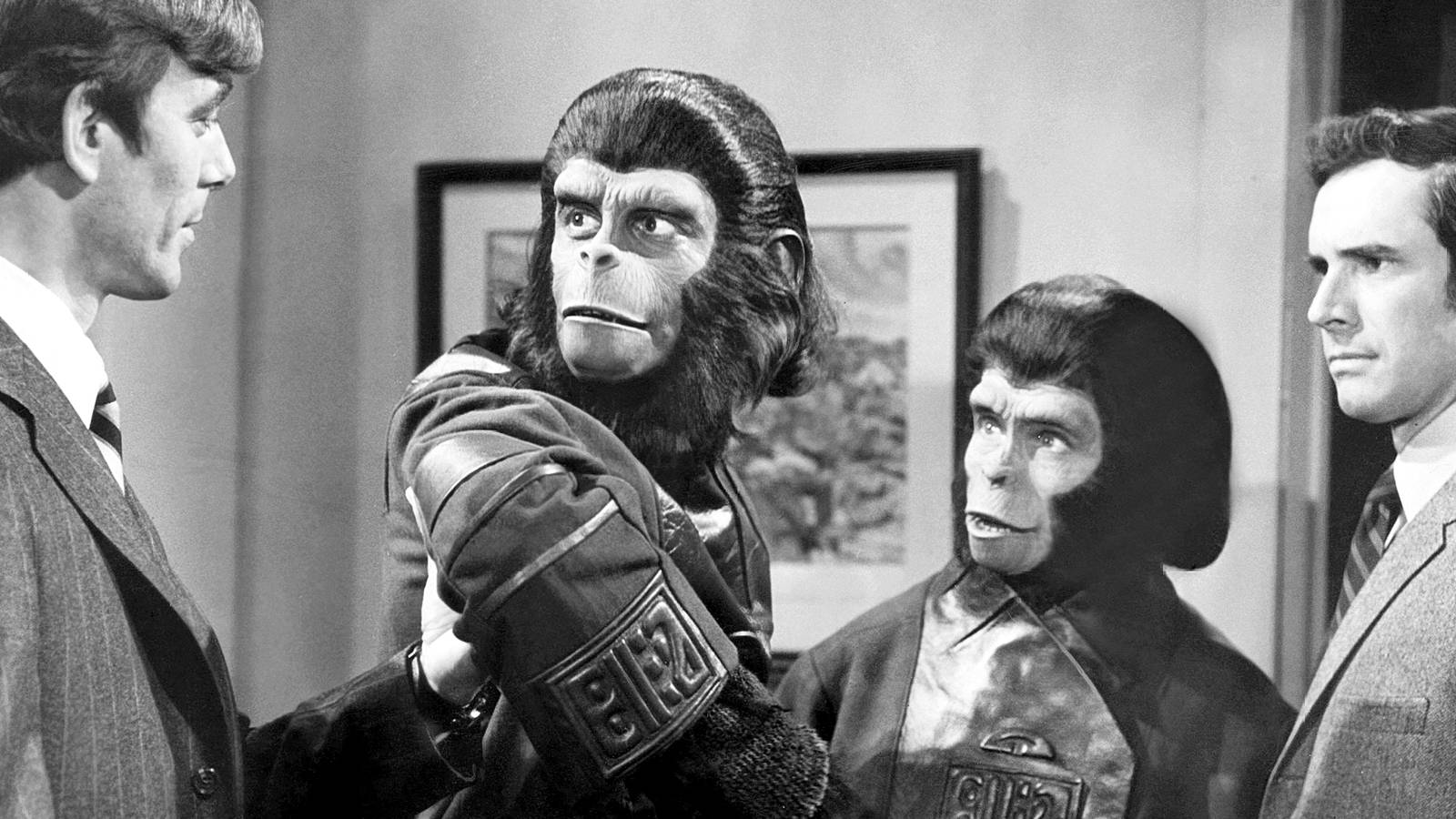 Hace 55 años, la franquicia El planeta de los simios tenía una audaz historia de ciencia ficción sobre viajes en el tiempo Hace 55 años, la franquicia El planeta de los simios tenía una audaz historia de ciencia ficción sobre viajes en el tiempo