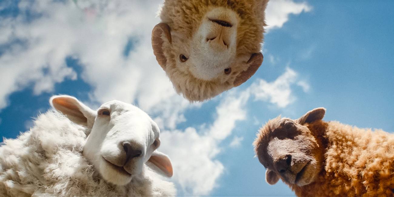 Why ‘The Sheep Detectives’ Writer Craig Mazin Doesn’t Think He Should ...