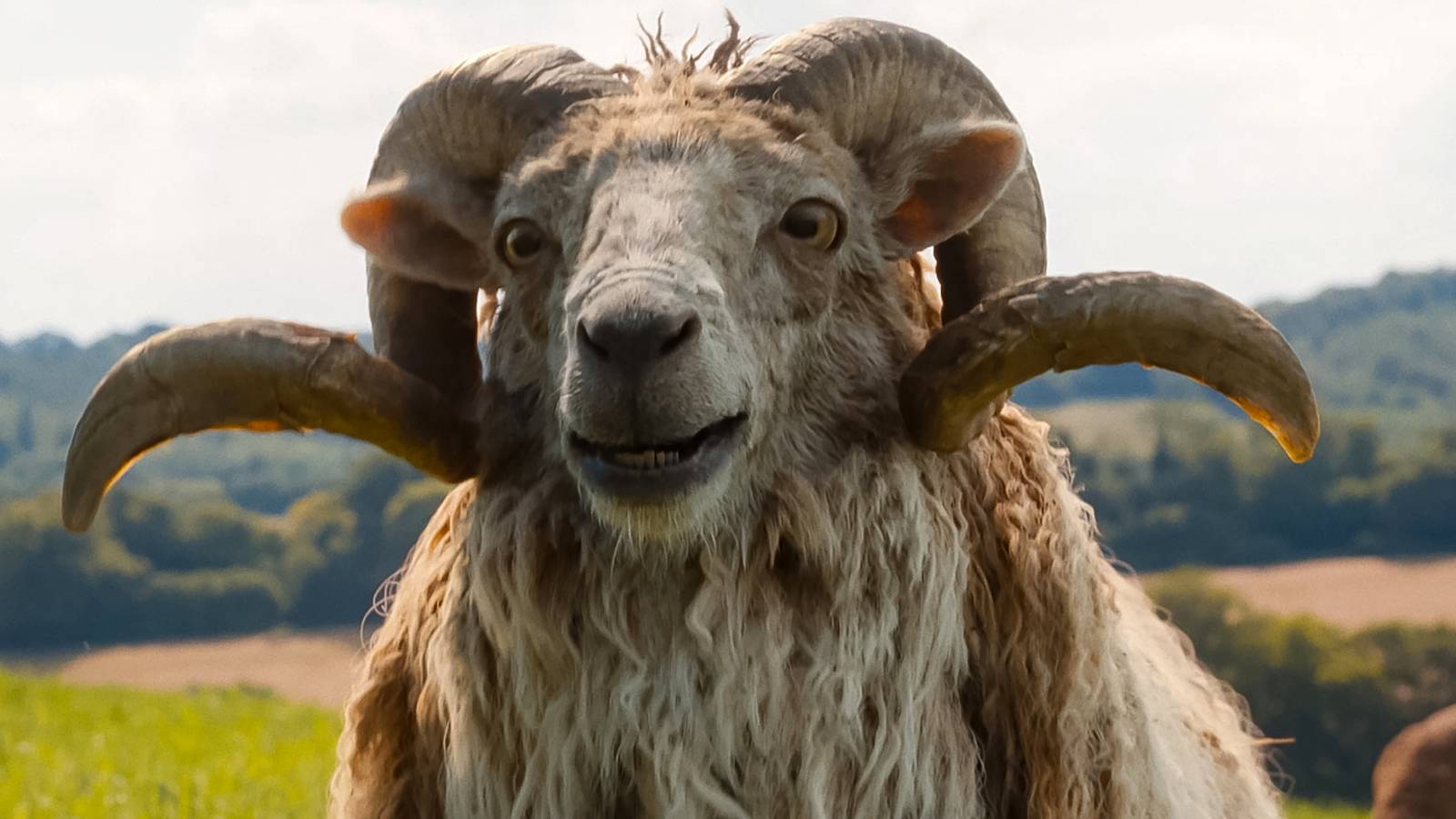 10 Cozy Mystery Movies To Watch if You Love ‘The Sheep Detectives’ 10 Cozy Mystery Movies To Watch if You Love ‘The Sheep Detectives’