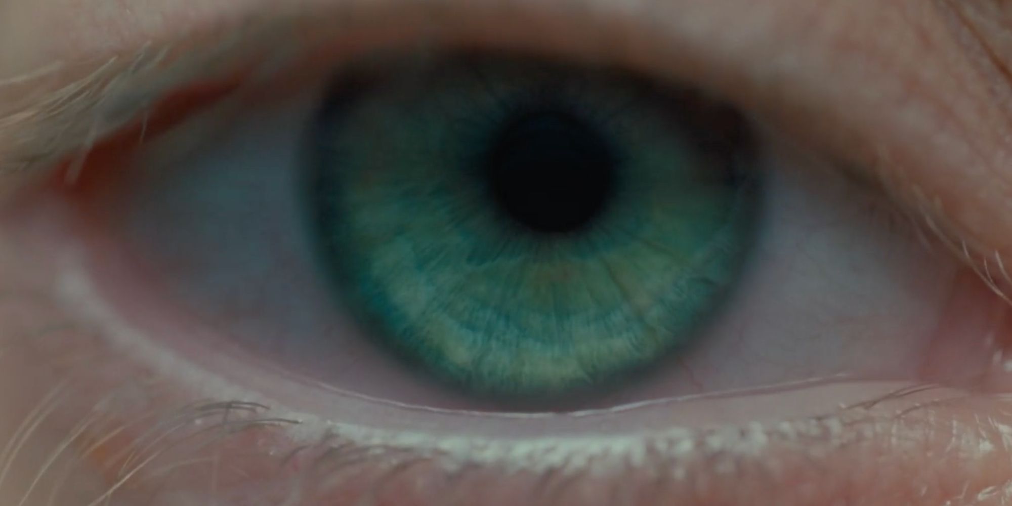 The Sci-Fi Masterpiece Ridley Scott Called “Too Long” Is Coming to Paramount+ image
