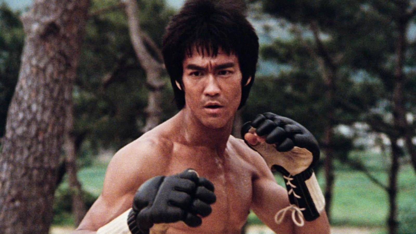 10 Best Hong Kong Martial Arts Movies of All Time