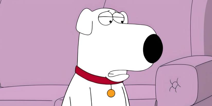 Brian, voiced by Seth MacFarlane, in 'Family Guy'