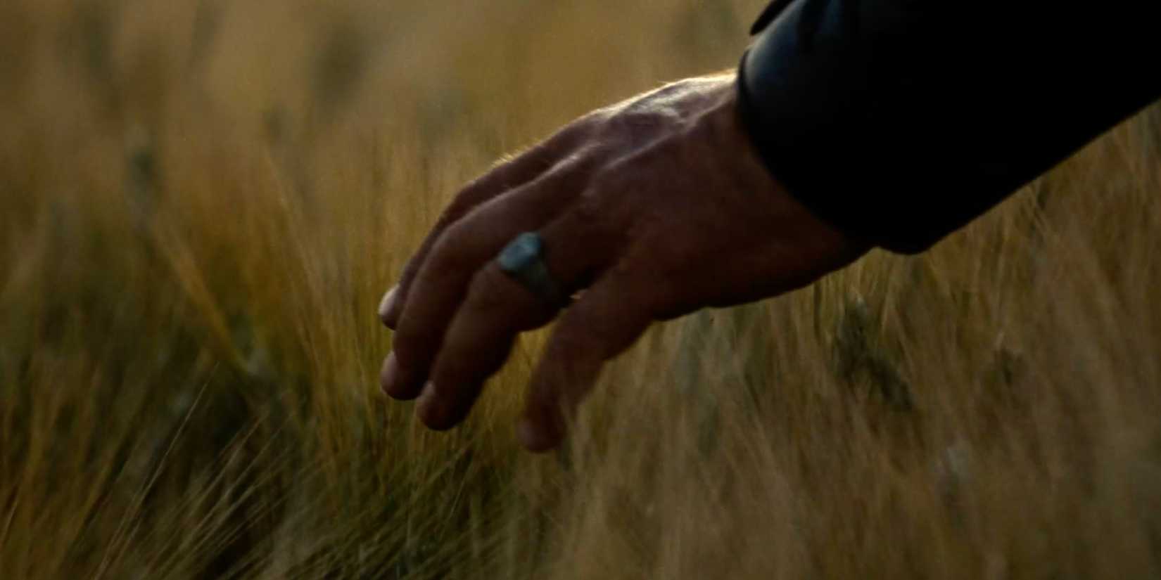 Russell Crowe's hand brushing the wheats and grass in Gladiator
