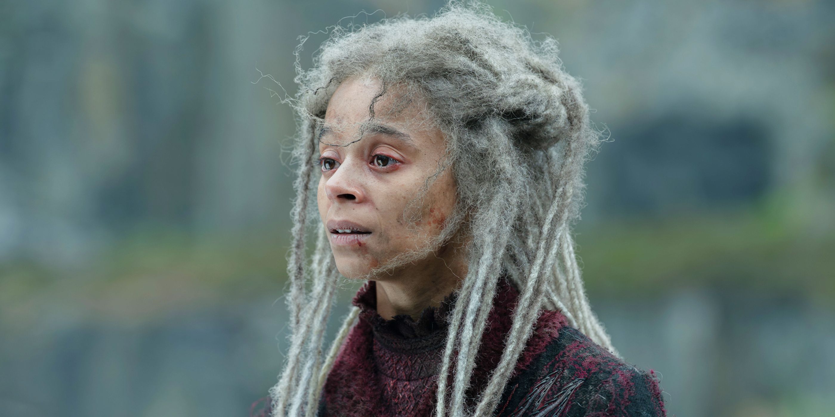 15 Biggest Changes Between 'House of the Dragon' and 'Fire and Blood'