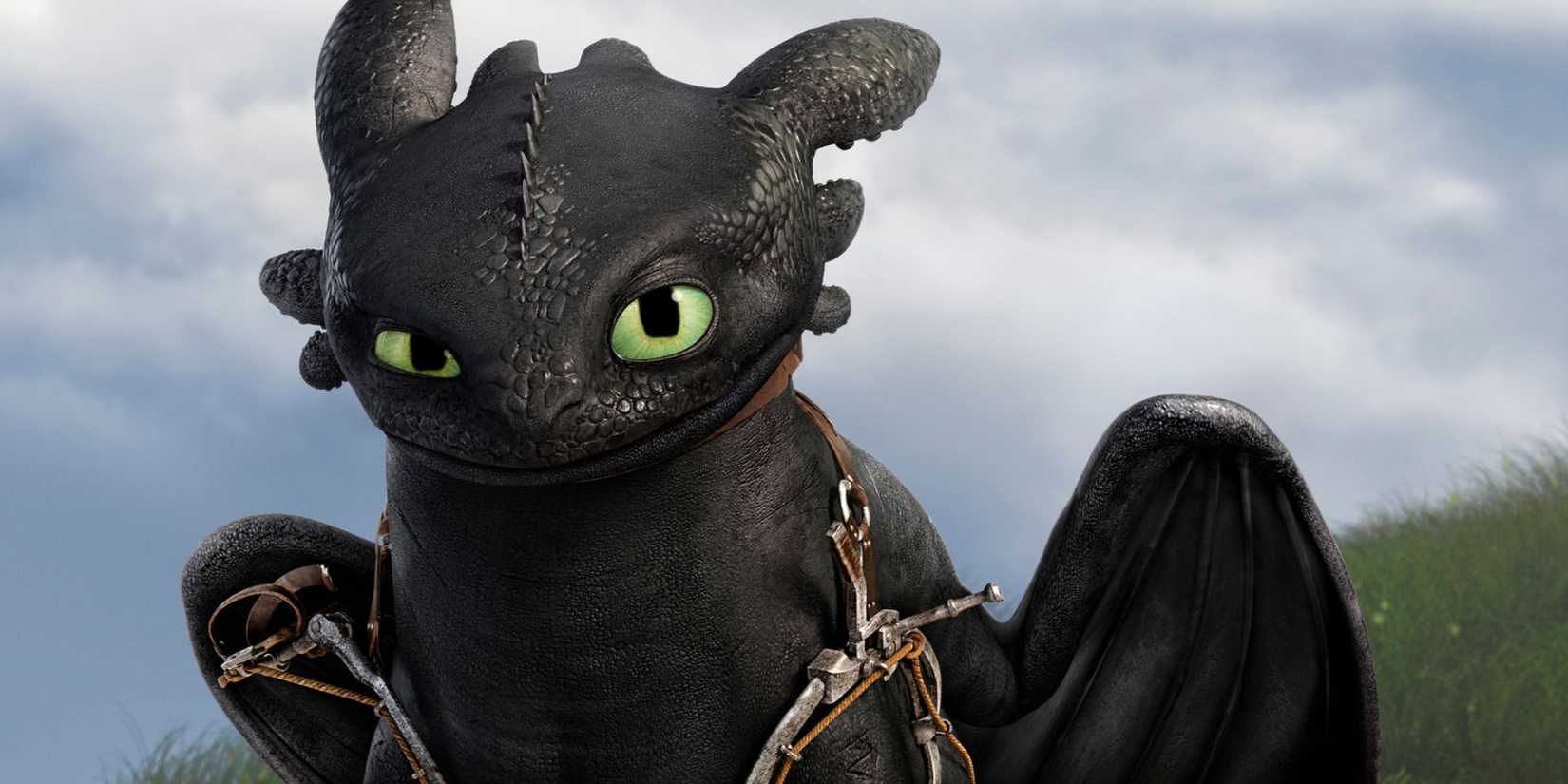 Toothless in 'How to Train Your Dragon 2'
