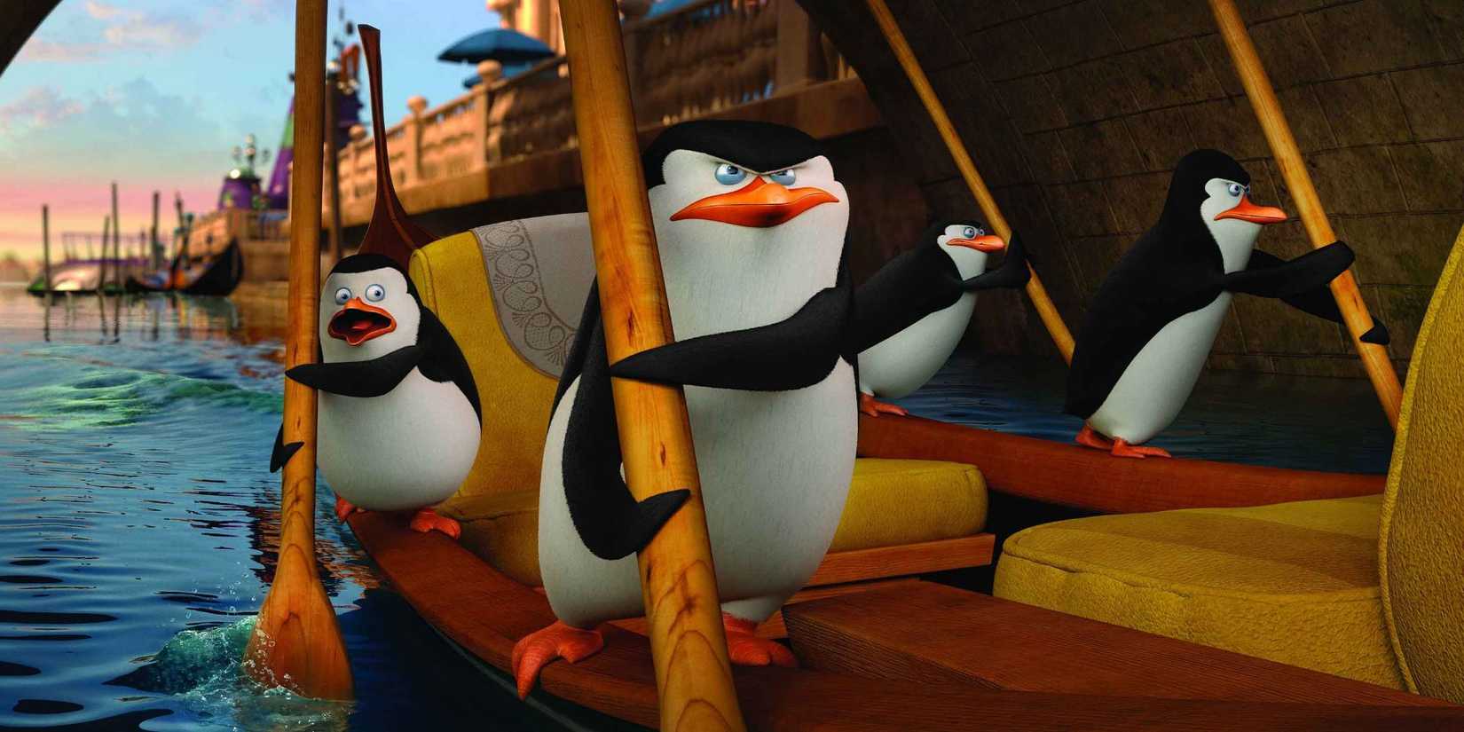 The Penguins rowing a boat