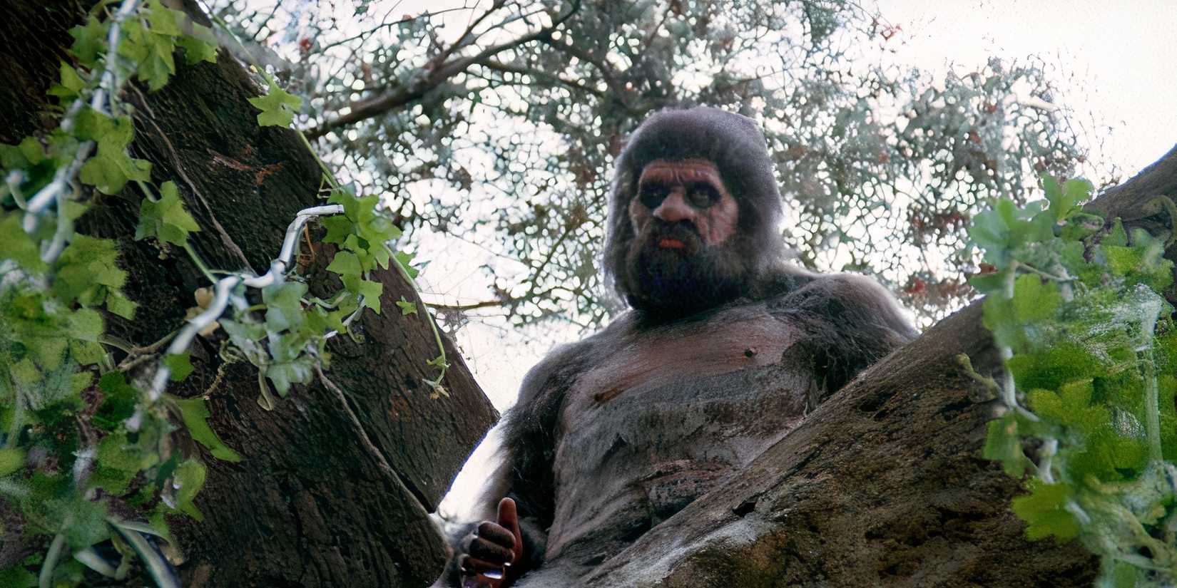 Cry Wilderness, the fake Bigfoot is nice, and looks down in the woods