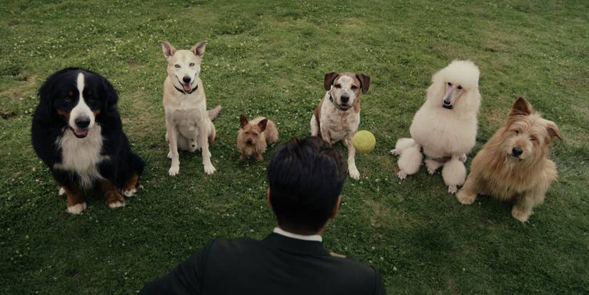 Colin Farrell as John Sugar, levitating a tennis ball in front of a group of dogs in Sugar Season 2.