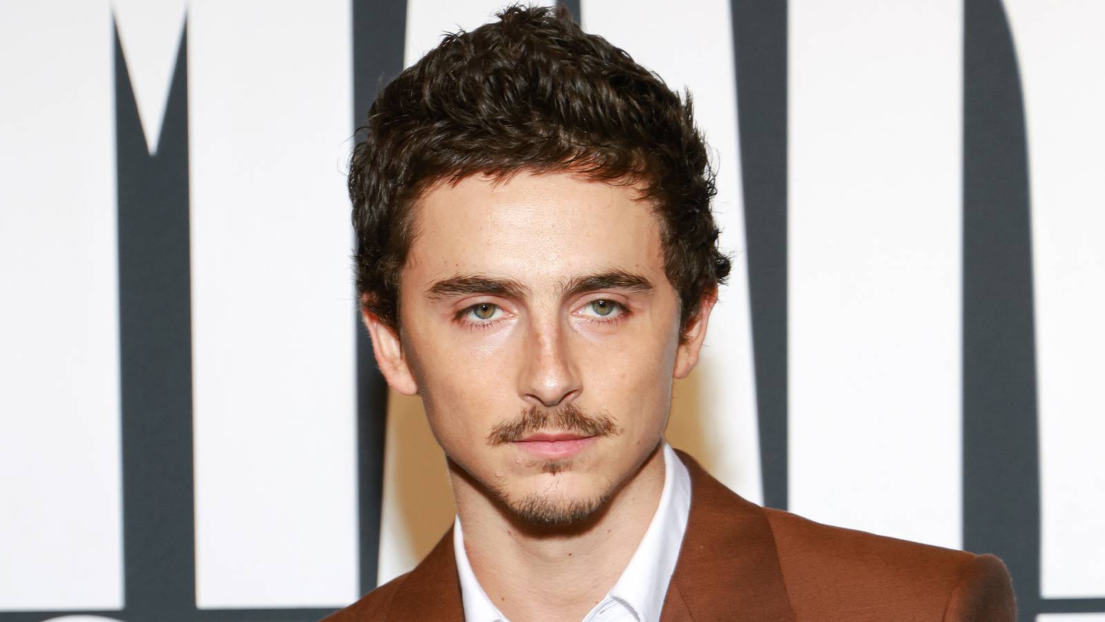 Shocking Cancellation: Timothée Chalamet's $600M Fantasy Franchise Sequel Axed!