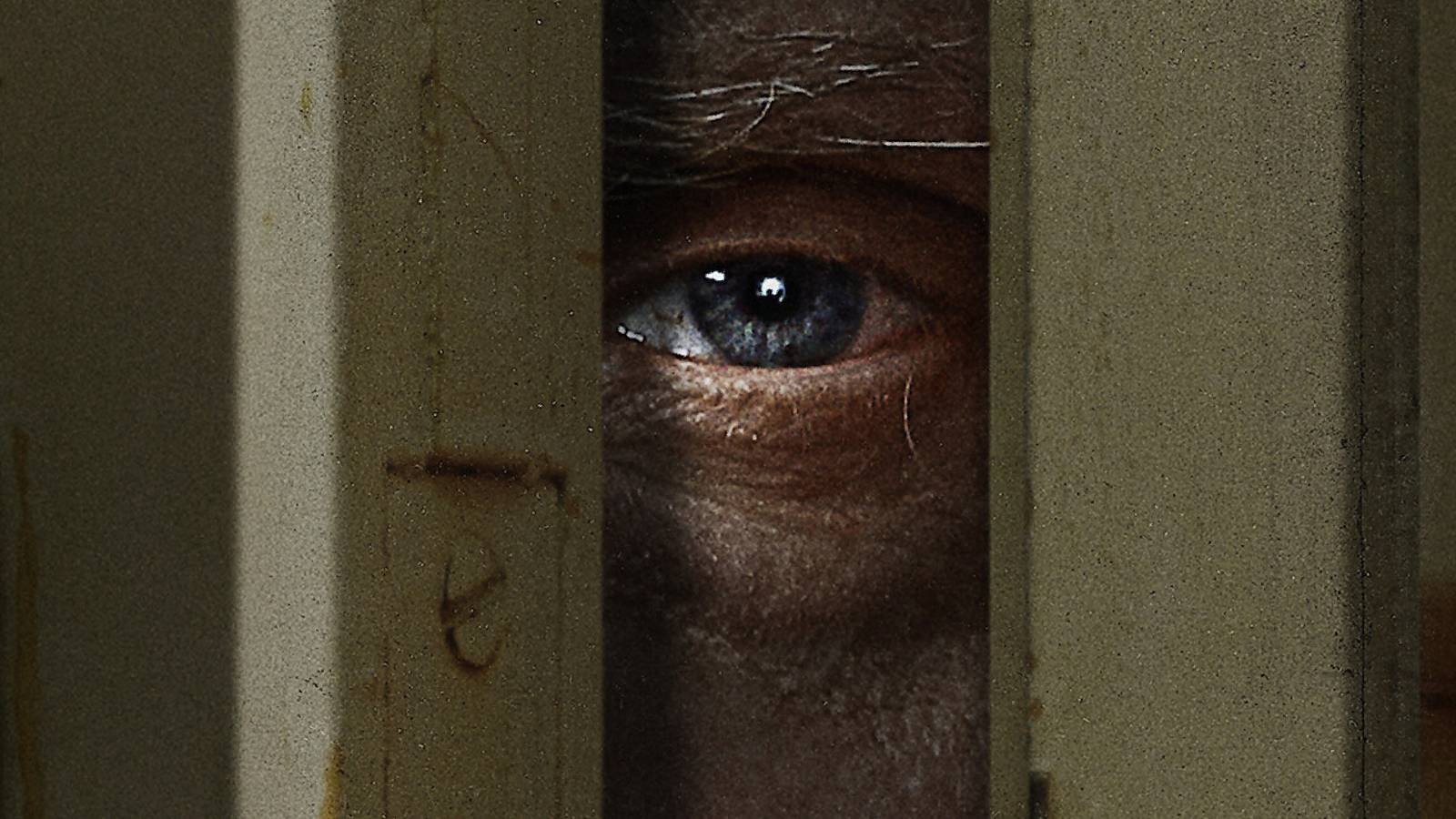 Netflix ha creado silenciosamente la peor franquicia sobre crímenes reales en transmisión Netflix ha creado silenciosamente la peor franquicia sobre crímenes reales en transmisión