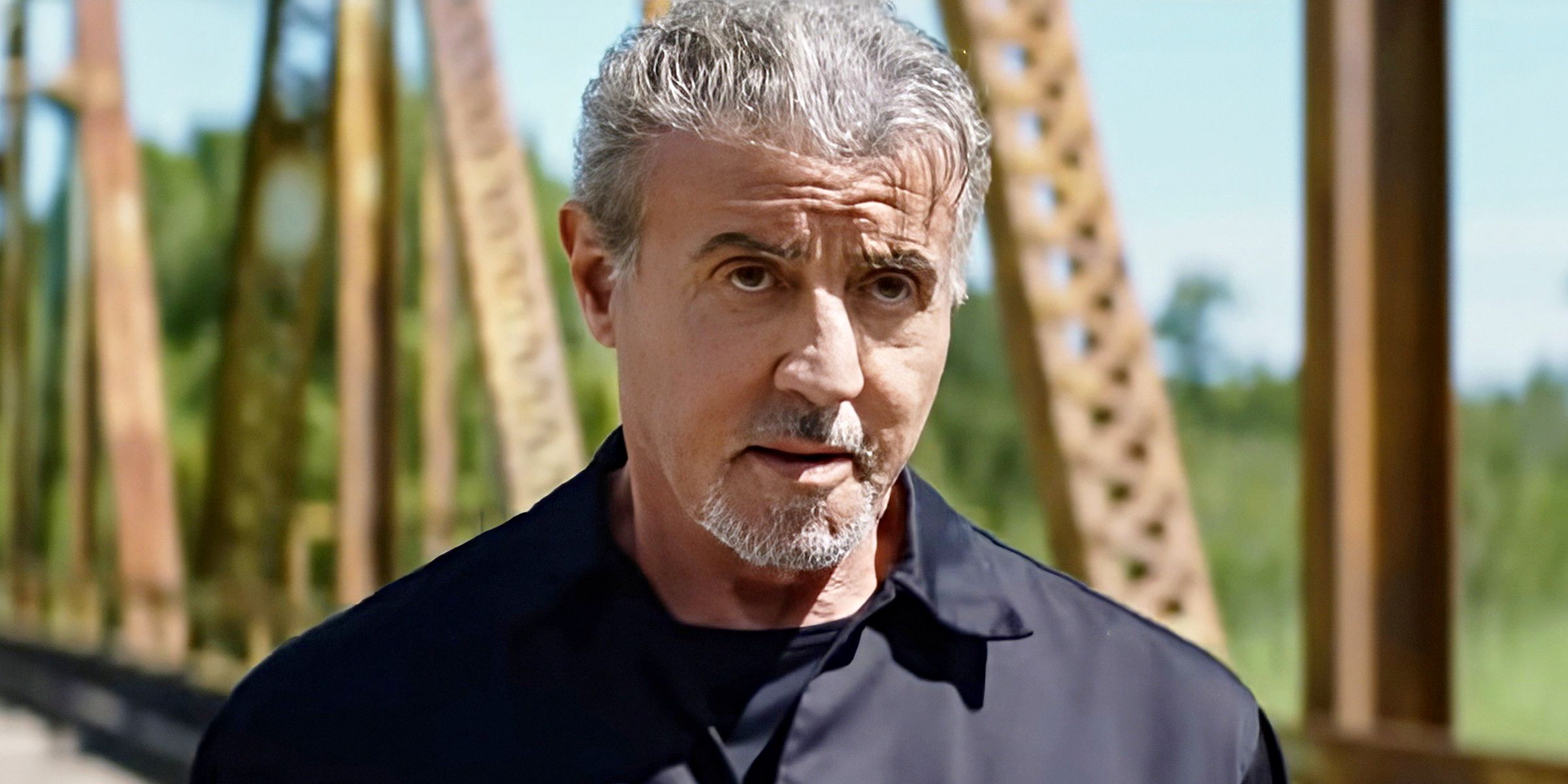 Sylvester Stallone’s 0% Rotten Tomatoes Action Thriller Is a Free Streaming Hit image