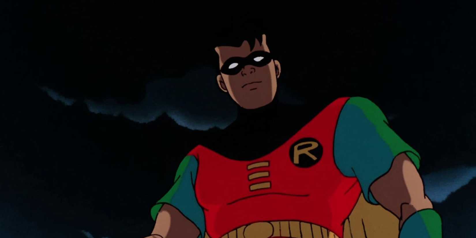 Robin against a dark sky