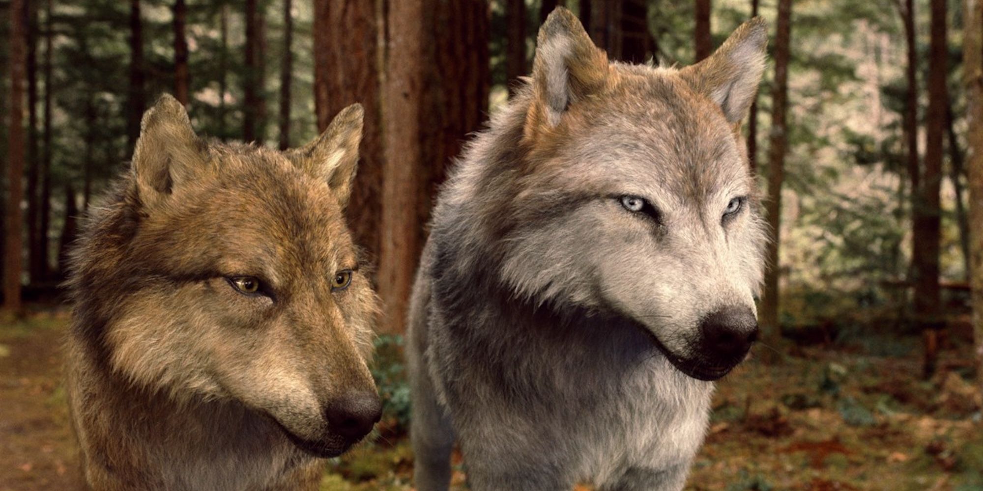 2012's Vampire Epic Is Officially Taking Over Streaming Ahead of Netflix's Reboot Series image
